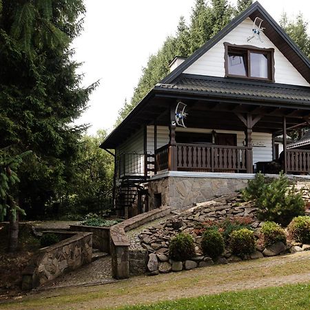 Dom Malowany Wetlina Exterior foto
